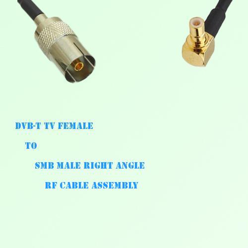 DVB-T TV Female to SMB Male Right Angle RF Cable Assembly