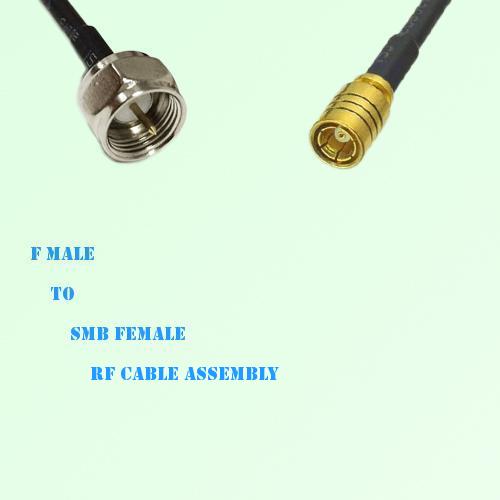 F Male to SMB Female RF Cable Assembly