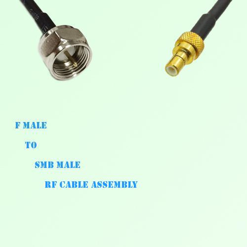 F Male to SMB Male RF Cable Assembly