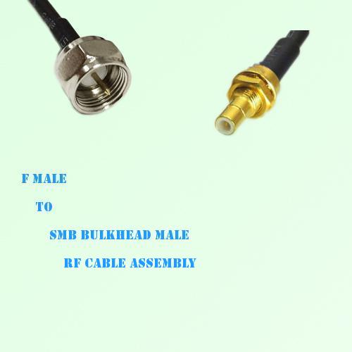F Male to SMB Bulkhead Male RF Cable Assembly