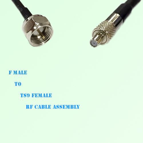 F Male to TS9 Female RF Cable Assembly