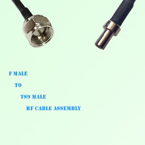 F Male to TS9 Male RF Cable Assembly