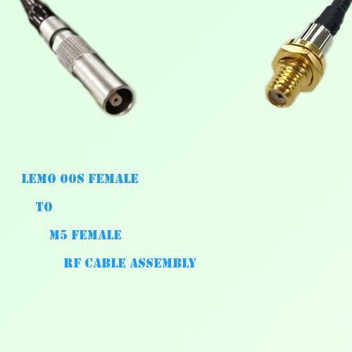 Lemo FFA 00S Female to Microdot 10-32 M5 Female RF Cable Assembly