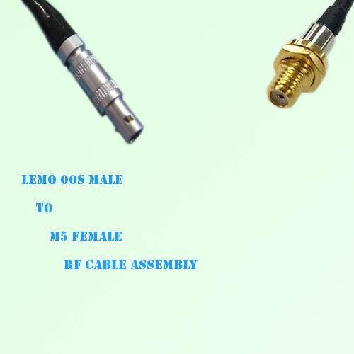 Lemo FFA 00S Male to Microdot 10-32 M5 Female RF Cable Assembly