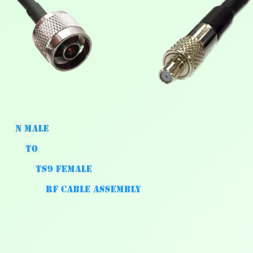 N Male to TS9 Female RF Cable Assembly