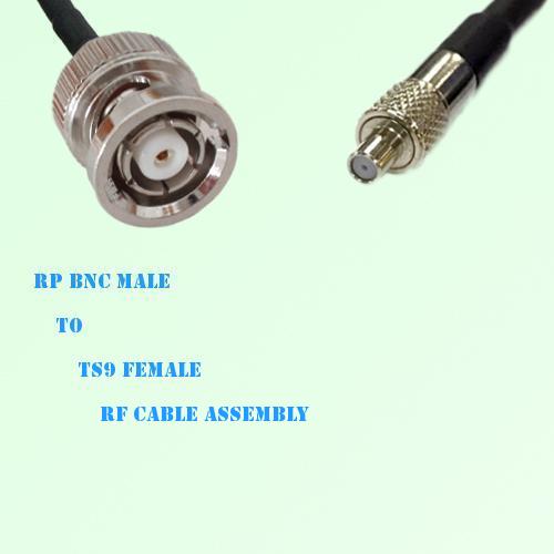 RP BNC Male to TS9 Female RF Cable Assembly
