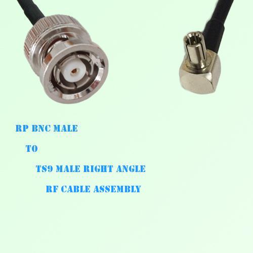 RP BNC Male to TS9 Male Right Angle RF Cable Assembly