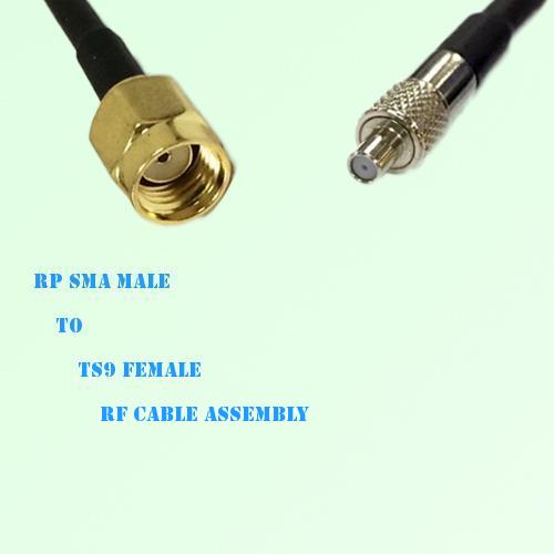 RP SMA Male to TS9 Female RF Cable Assembly