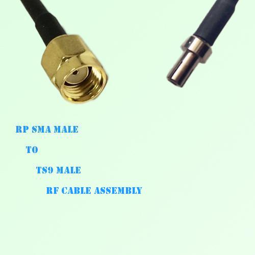 RP SMA Male to TS9 Male RF Cable Assembly