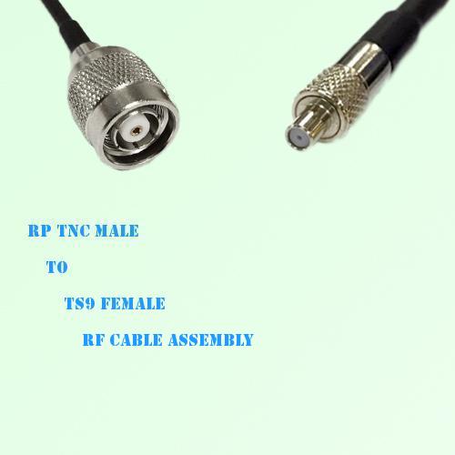 RP TNC Male to TS9 Female RF Cable Assembly