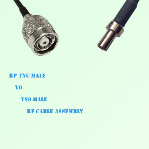 RP TNC Male to TS9 Male RF Cable Assembly