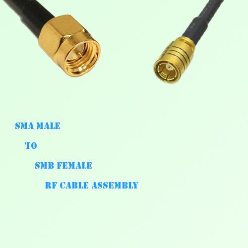 SMA Male to SMB Female RF Cable Assembly SMA Male to SMB Female RF Cable Assembly