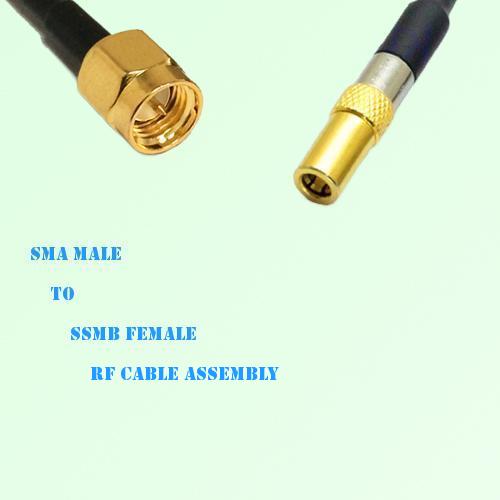 SMA Male to SSMB Female RF Cable Assembly