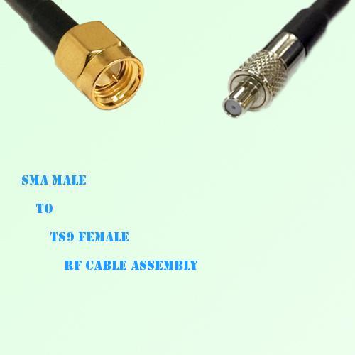 SMA Male to TS9 Female RF Cable Assembly