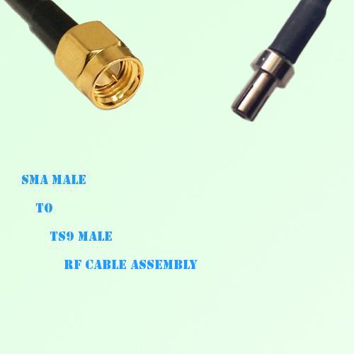 SMA Male to TS9 Male RF Cable Assembly
