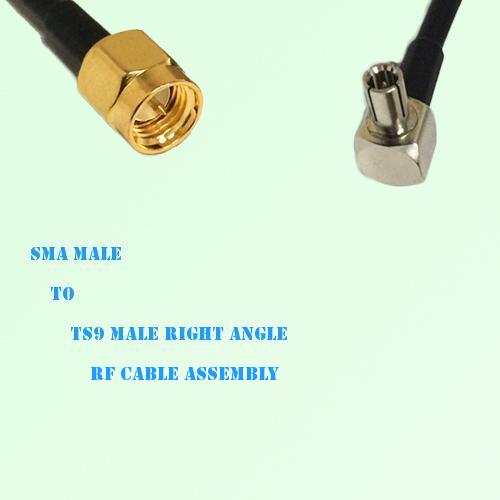 SMA Male to TS9 Male Right Angle RF Cable Assembly