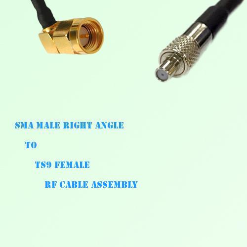 SMA Male Right Angle to TS9 Female RF Cable Assembly
