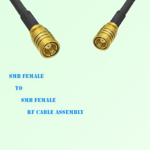 SMB Female to SMB Female RF Cable Assembly