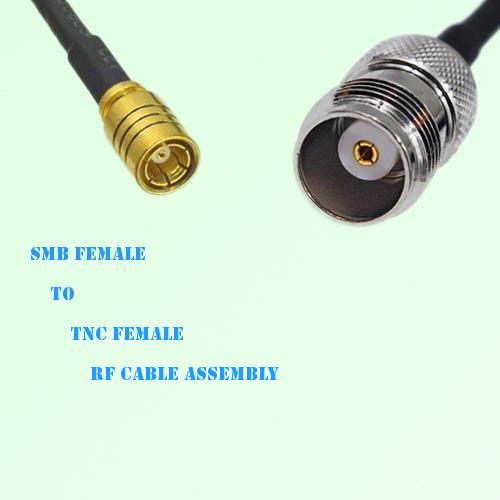 SMB Female to TNC Female RF Cable Assembly