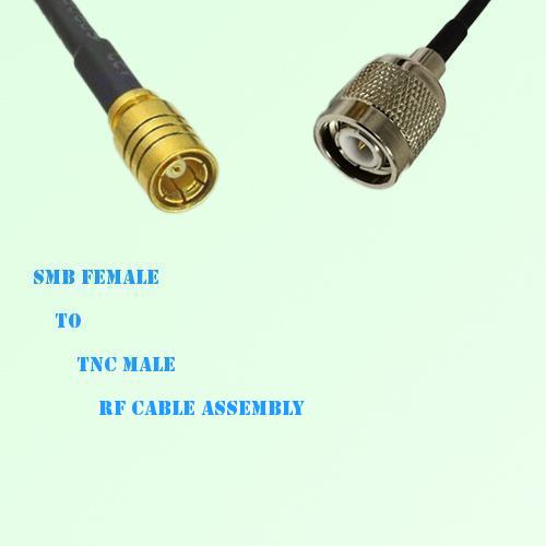 SMB Female to TNC Male RF Cable Assembly