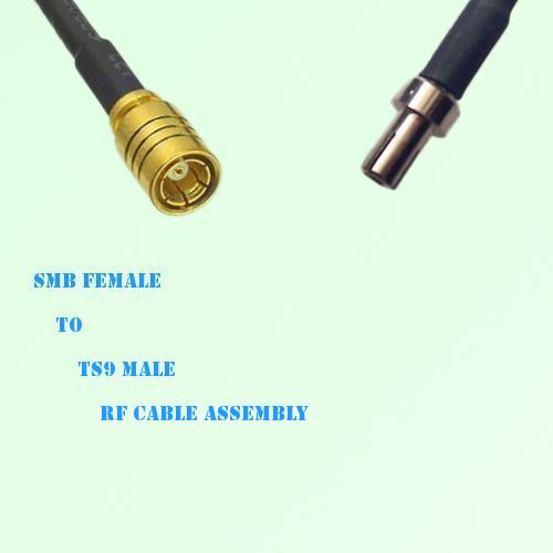 SMB Female to TS9 Male RF Cable Assembly