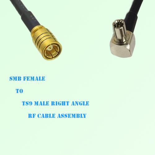 SMB Female to TS9 Male Right Angle RF Cable Assembly