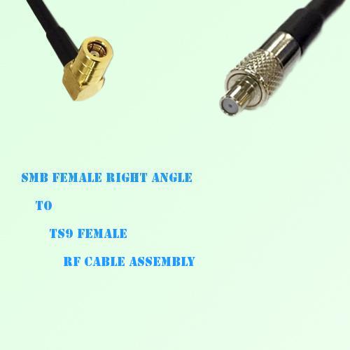 SMB Female Right Angle to TS9 Female RF Cable Assembly