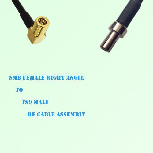 SMB Female Right Angle to TS9 Male RF Cable Assembly