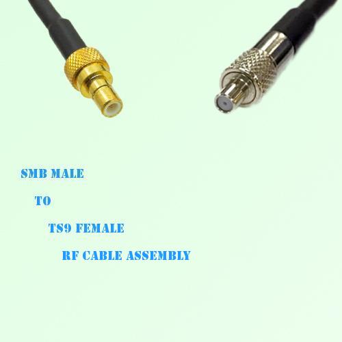 SMB Male to TS9 Female RF Cable Assembly