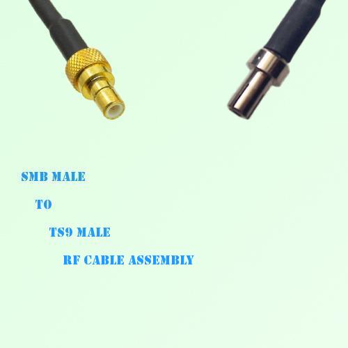 SMB Male to TS9 Male RF Cable Assembly