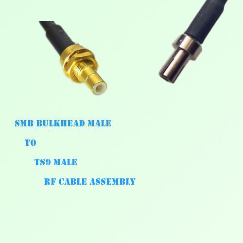 SMB Bulkhead Male to TS9 Male RF Cable Assembly