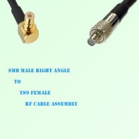 SMB Male Right Angle to TS9 Female RF Cable Assembly