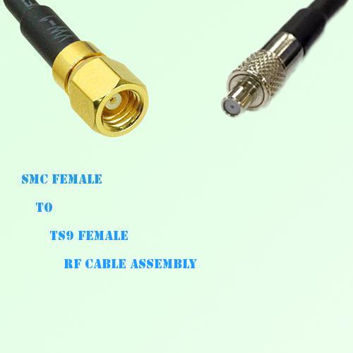 SMC Female to TS9 Female RF Cable Assembly