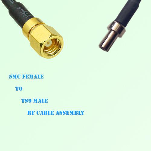 SMC Female to TS9 Male RF Cable Assembly