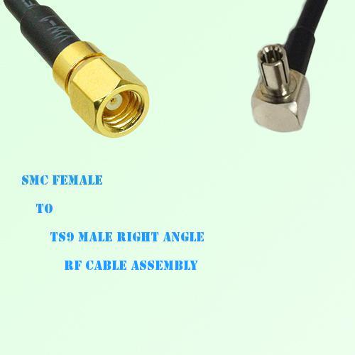 SMC Female to TS9 Male Right Angle RF Cable Assembly