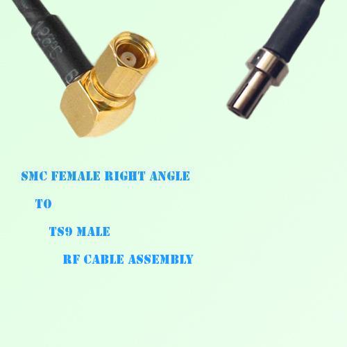 SMC Female Right Angle to TS9 Male RF Cable Assembly