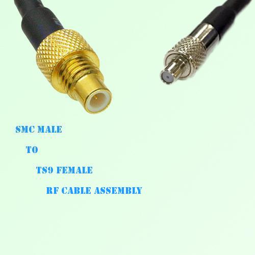 SMC Male to TS9 Female RF Cable Assembly