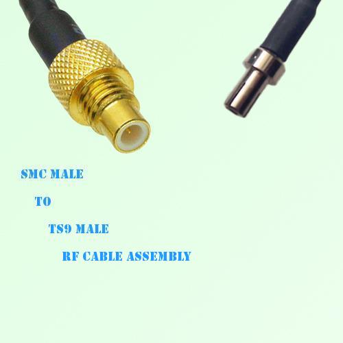 SMC Male to TS9 Male RF Cable Assembly
