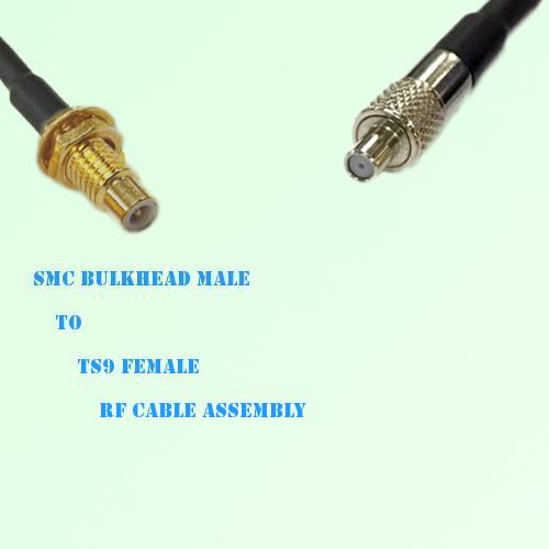 SMC Bulkhead Male to TS9 Female RF Cable Assembly