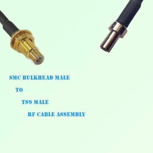 SMC Bulkhead Male to TS9 Male RF Cable Assembly