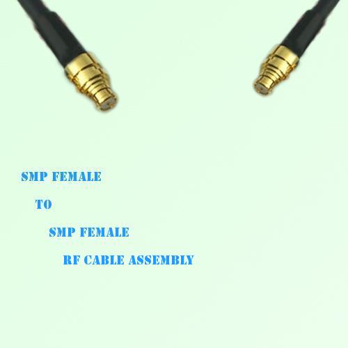 SMP Female to SMP Female RF Cable Assembly