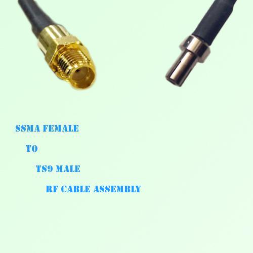 SSMA Female to TS9 Male RF Cable Assembly