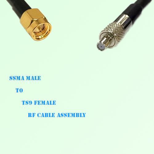 SSMA Male to TS9 Female RF Cable Assembly