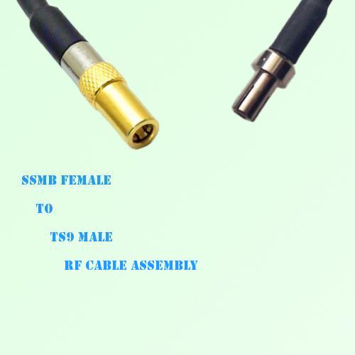 SSMB Female to TS9 Male RF Cable Assembly