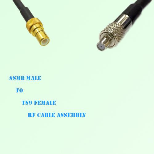 SSMB Male to TS9 Female RF Cable Assembly