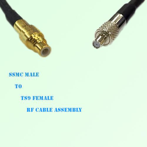 SSMC Male to TS9 Female RF Cable Assembly