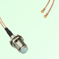 Splitter Y Type Cable F Bulkhead Female to IPEX Default