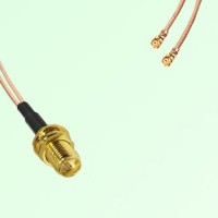 Splitter Y Type Cable RP SMA Bulkhead Female to IPEX Default